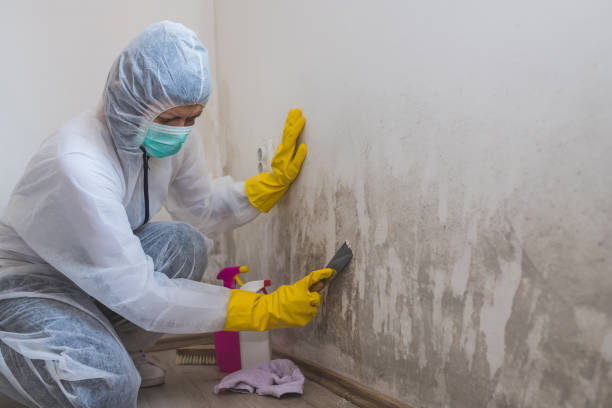 Forensic Mold Investigation in Cadiz, OH