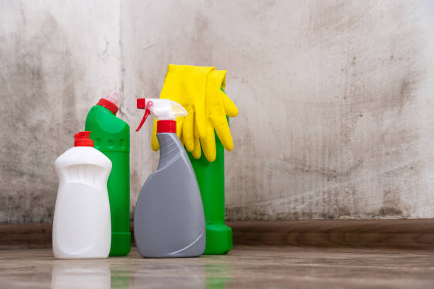 Why You Should Choose Our Mold Remediation Services in Cadiz, OH